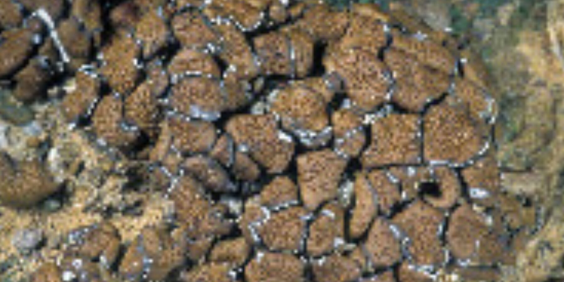 Вчені встановили, на яких планетах насправді можливе життя