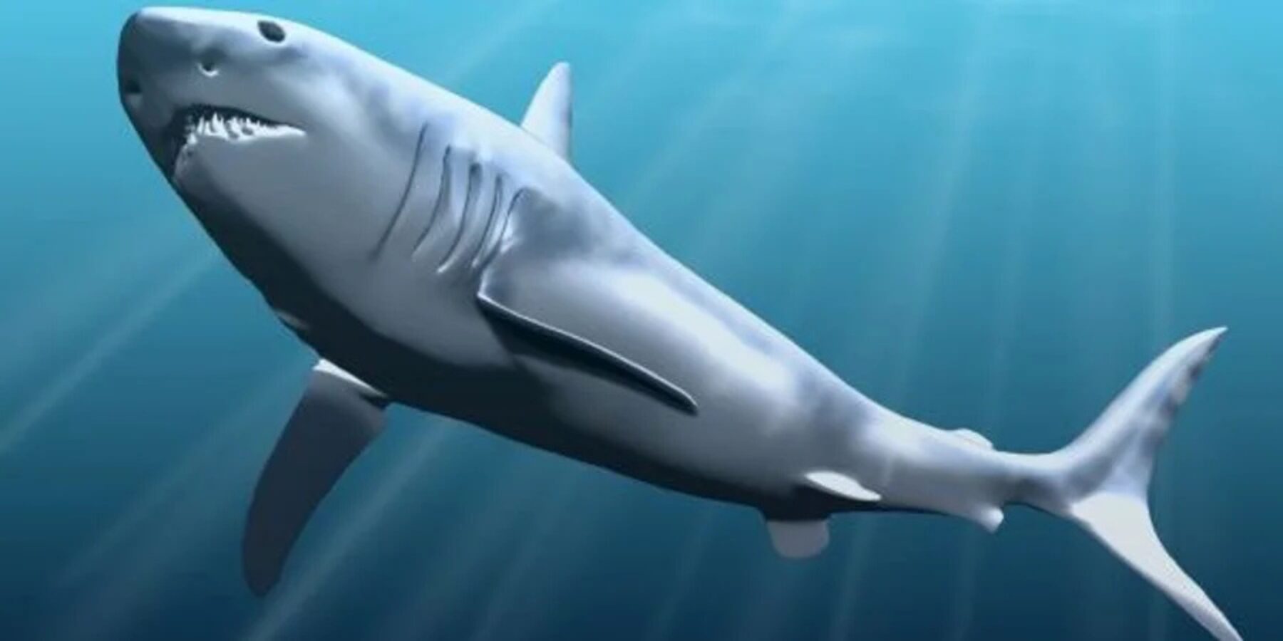 В Австралії знайшли скам’янілості предка мегалодона