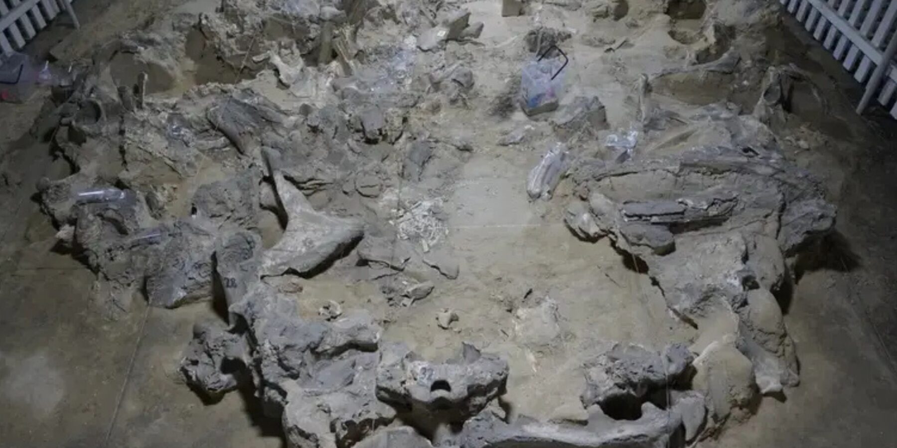 Вчені датували помешкання з кісток мамонта, знайдені під Києвом