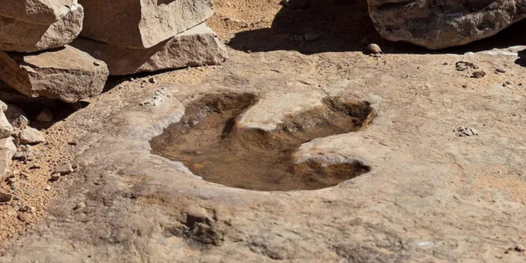 У Болівії знайшли найбільше місце, де жили динозаври