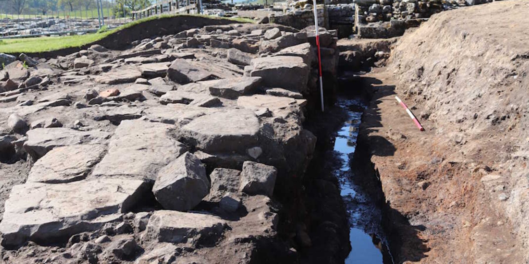 Вчені з’ясували, від яких паразитів страждали давньоримські солдати