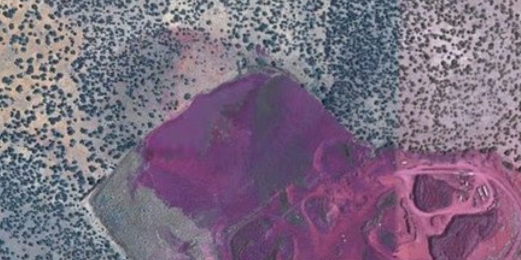 У пустелі США виявили “криваву пляму”