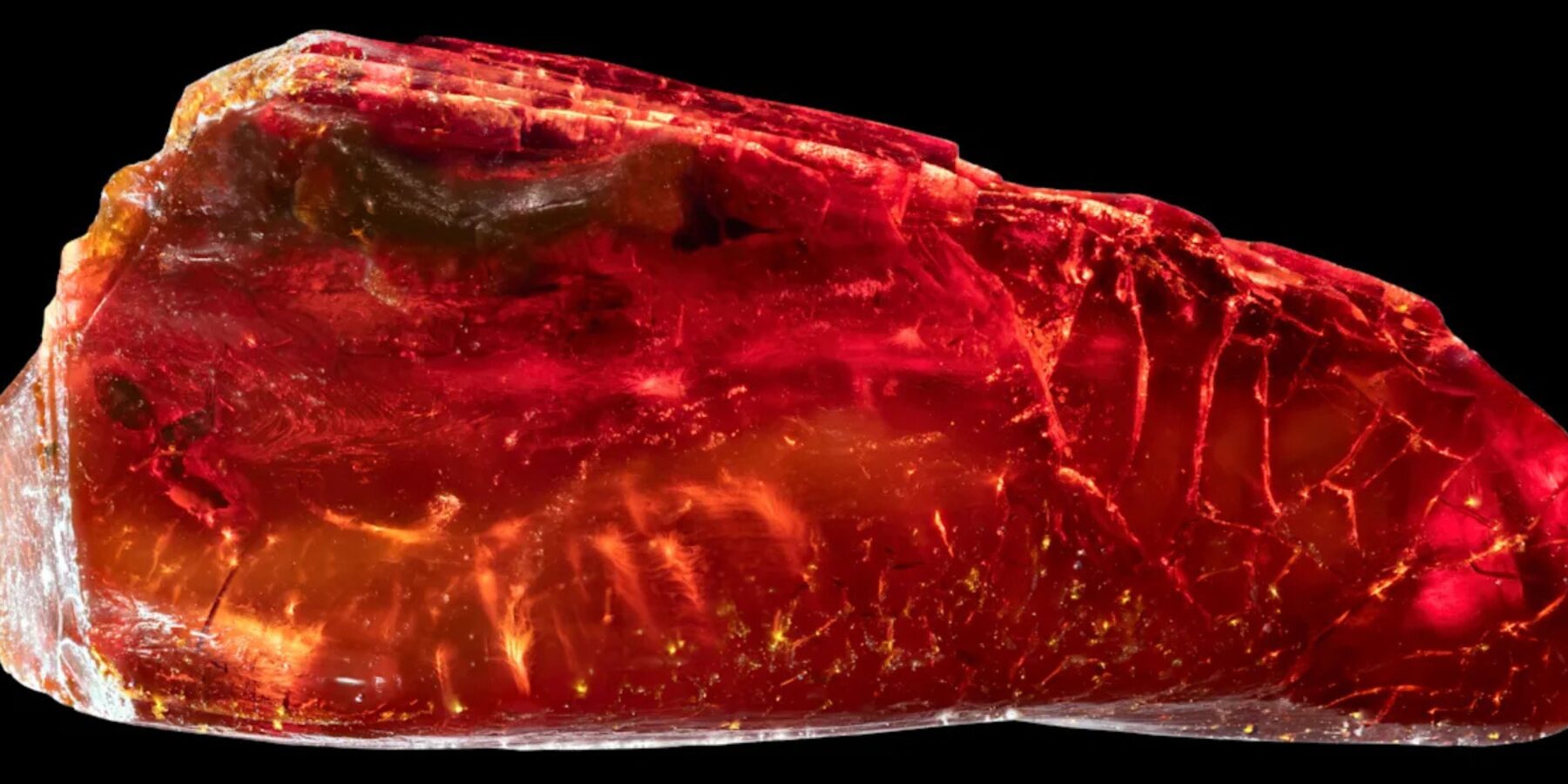 Вчені знайшли бурштин письменника Гете, який містить мураху віком 40 млн років