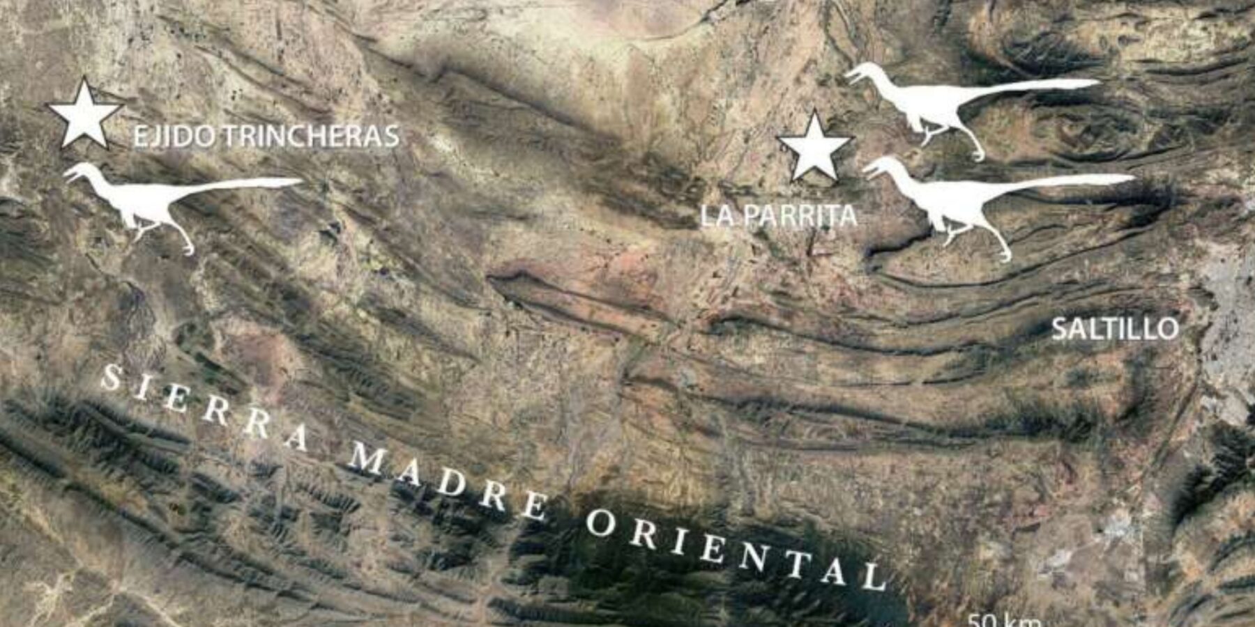 У Мексиці знайшли скам’янілість динозавра, який боровся за самок ударами голови