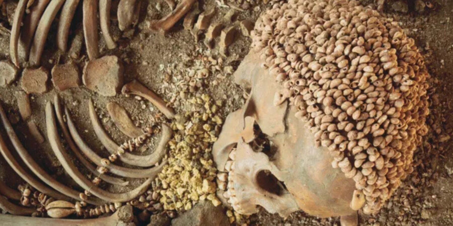 У Франції знайшли скелет підлітка, який став жертвою ведмедя 28 тисяч років тому