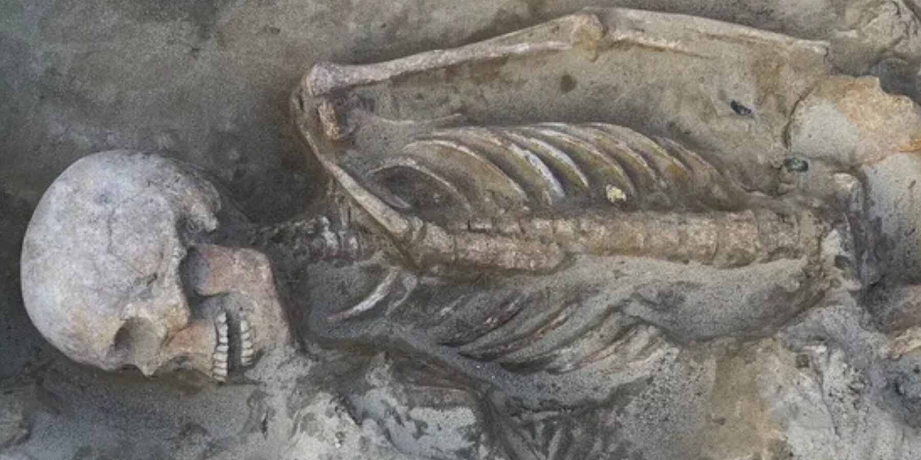 В Угорщині знайшли 1100-річні поховання елітних воїнів із коштовностями та зброєю