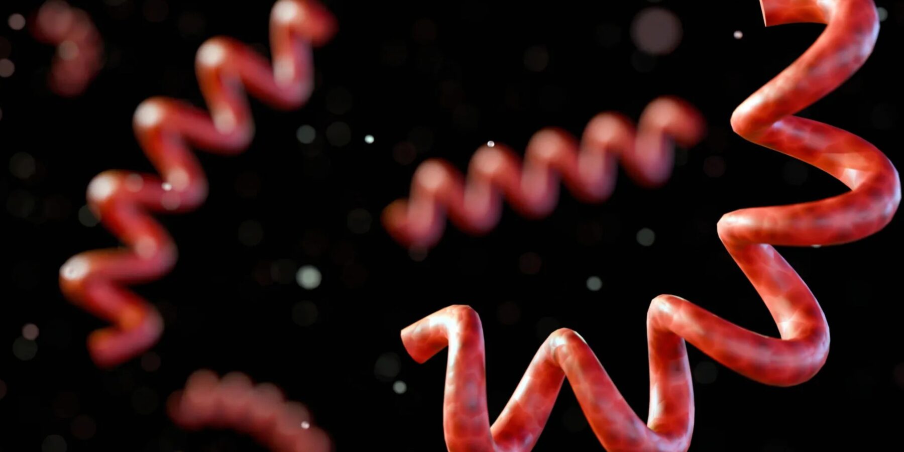 У Колумбії знайдено найдавніший геном бактерії, що спричиняє сифіліс