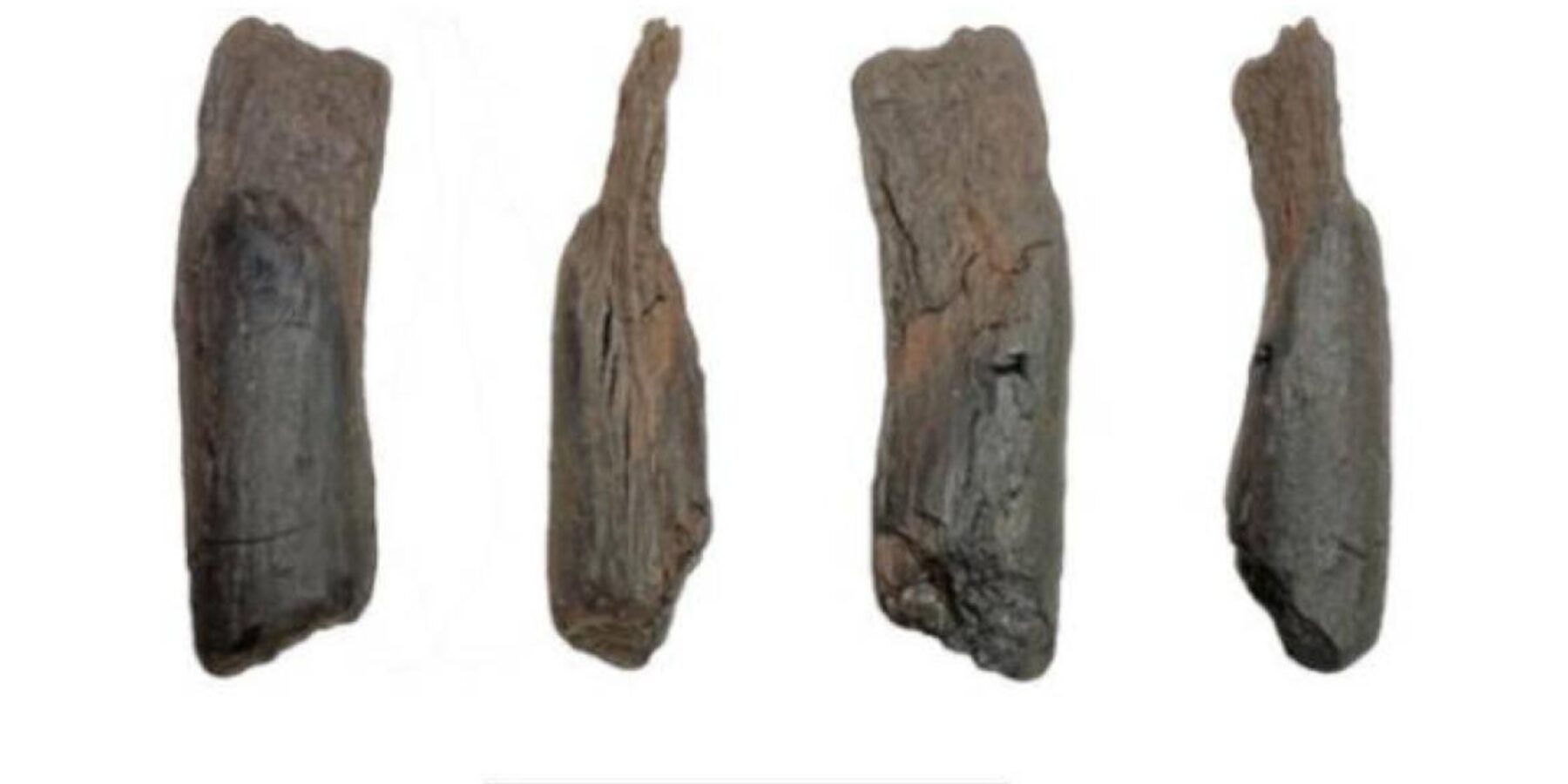 У Греції знайшли найдавніші дерев’яні знаряддя праці