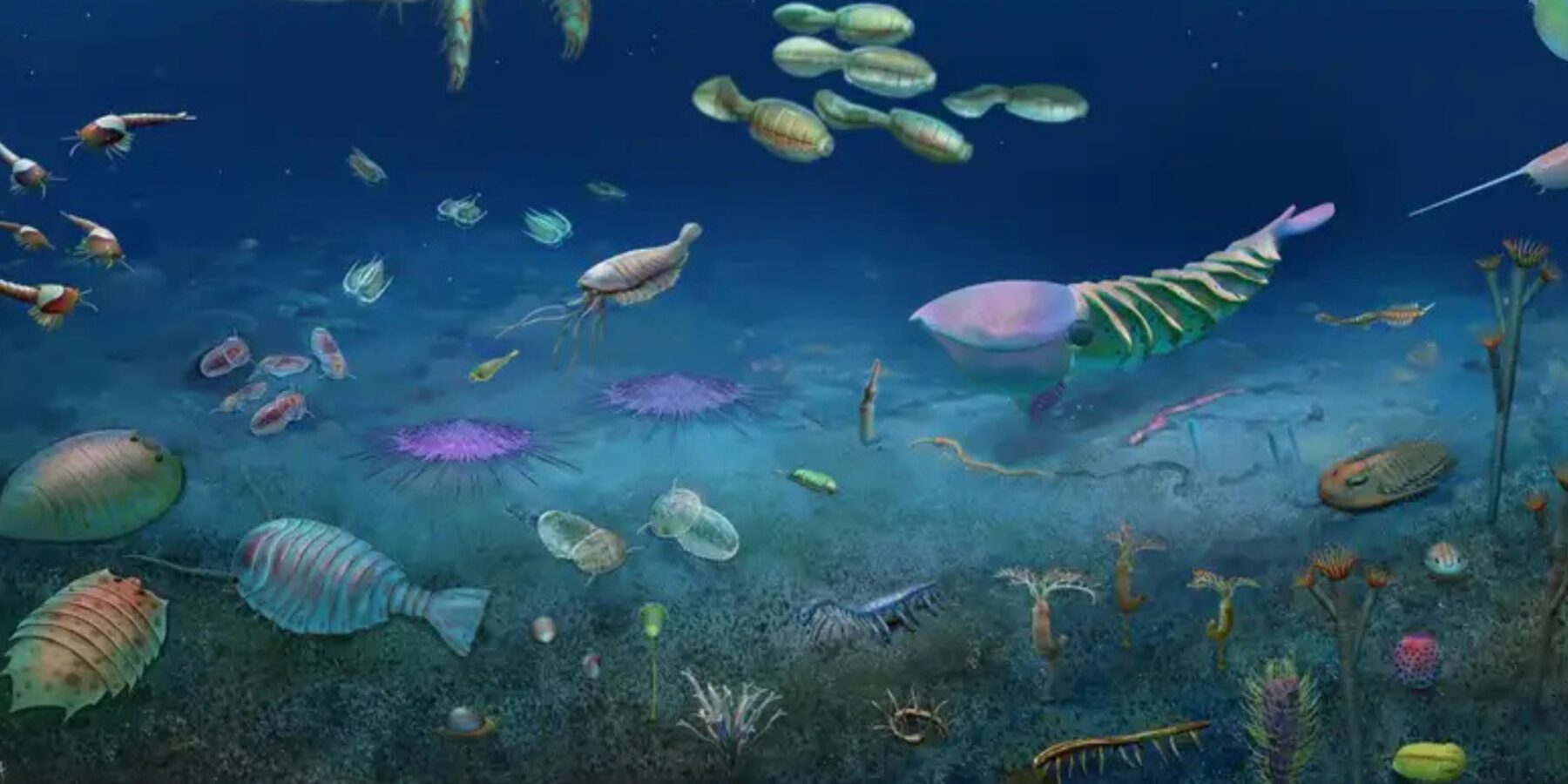 У Китаї виявили “скам’янілу скарбницю” віком понад 500 млн років