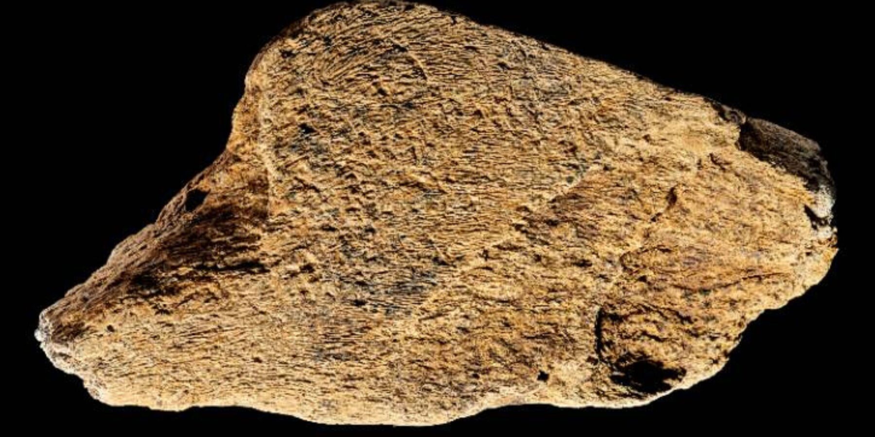 У Великобританії знайшли рідкісний кістяний інструмент віком 500 тисяч років