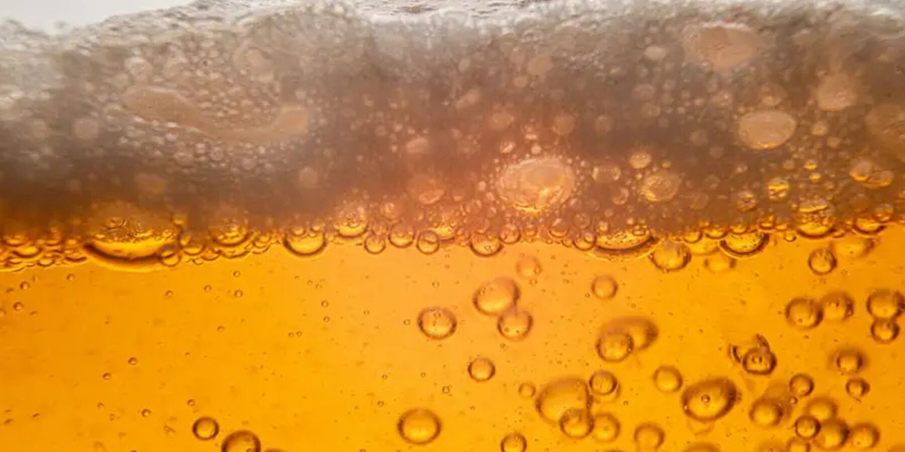 Вчені встановили, що пиво могло стати причиною виникнення землеробства