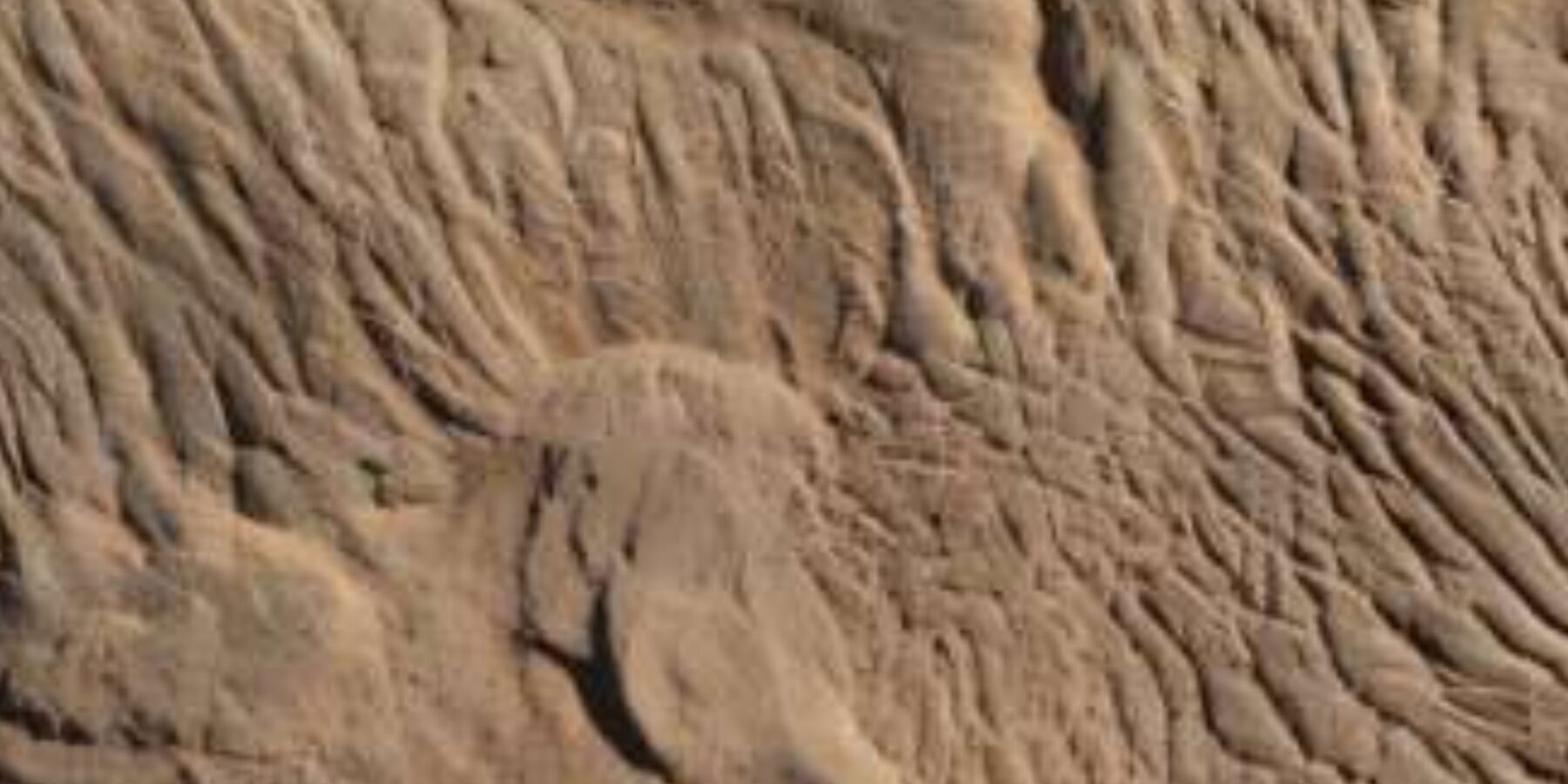 Вчені знайшли давнє життя у несподіваному місці