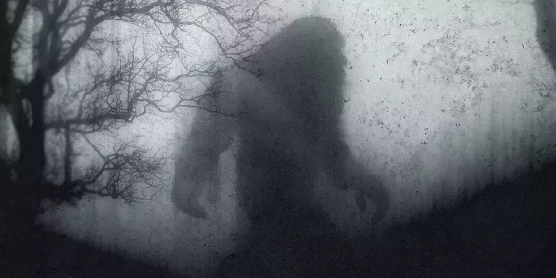 У США зафіксували появу снігової людини на військовій базі