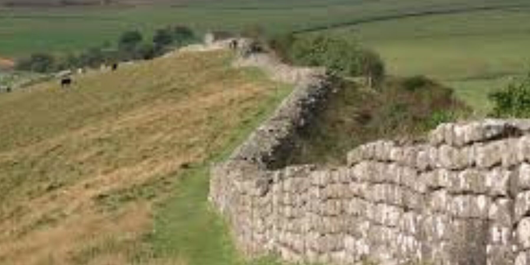 У Великобританії знайшли 1700-річну теракотову голову