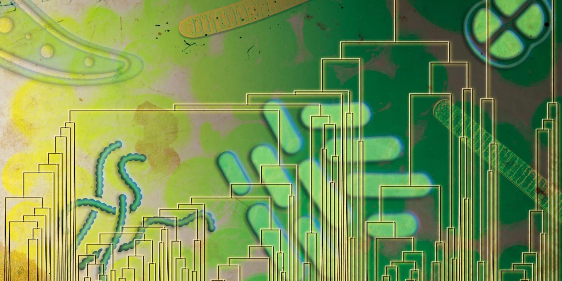 Вчені змінили уявлення про використання кисню земними організмами