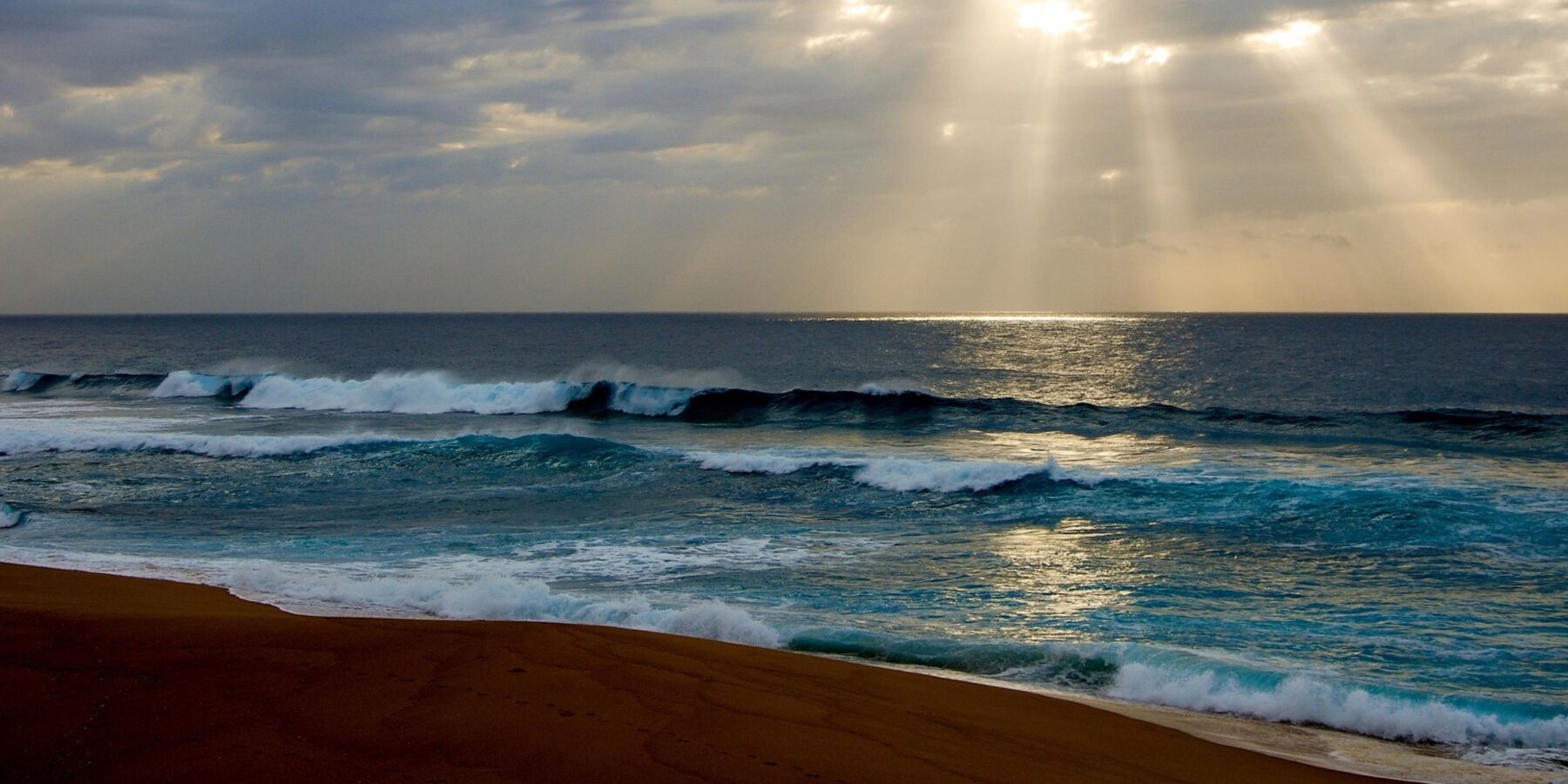 У ПАР знайшли сліди динозаврів віком понад 130 млн років