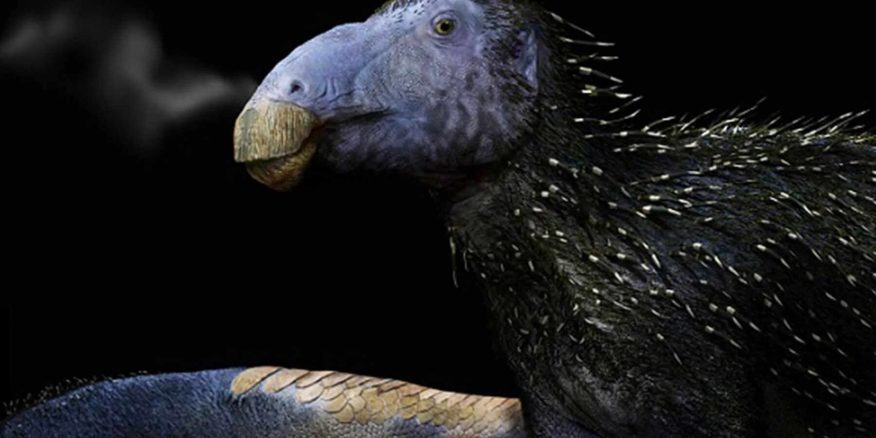 У Китаї знайшли скам’янілість динозавра із унікальними шипами віком 125 млн років