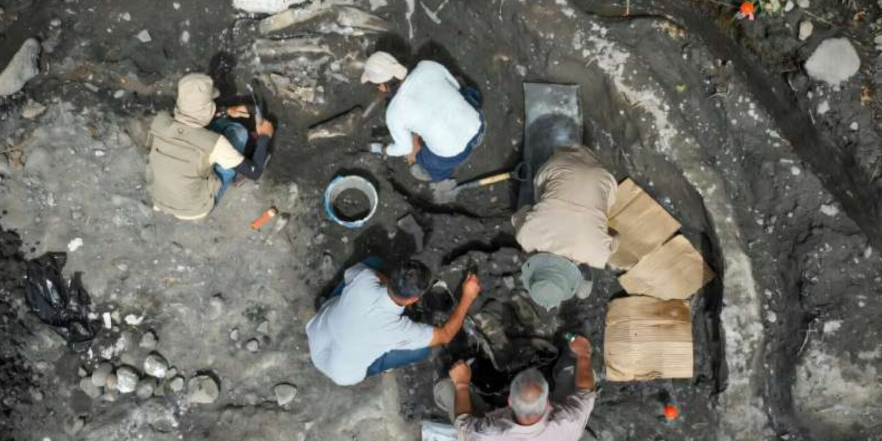 У Коста-Ріці знайшли кістки мастодонта та гігантського лінивця віком 40 тисяч років