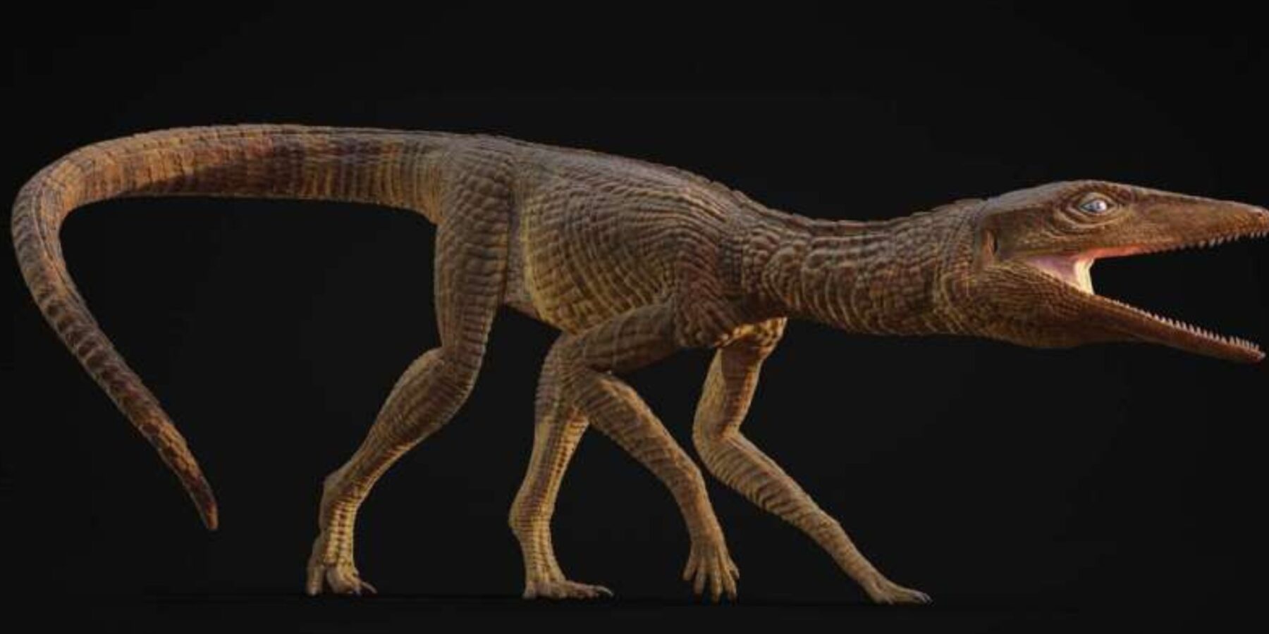 Вчені знайшли скам’янілість нового виду крокодила із Тріасового періоду