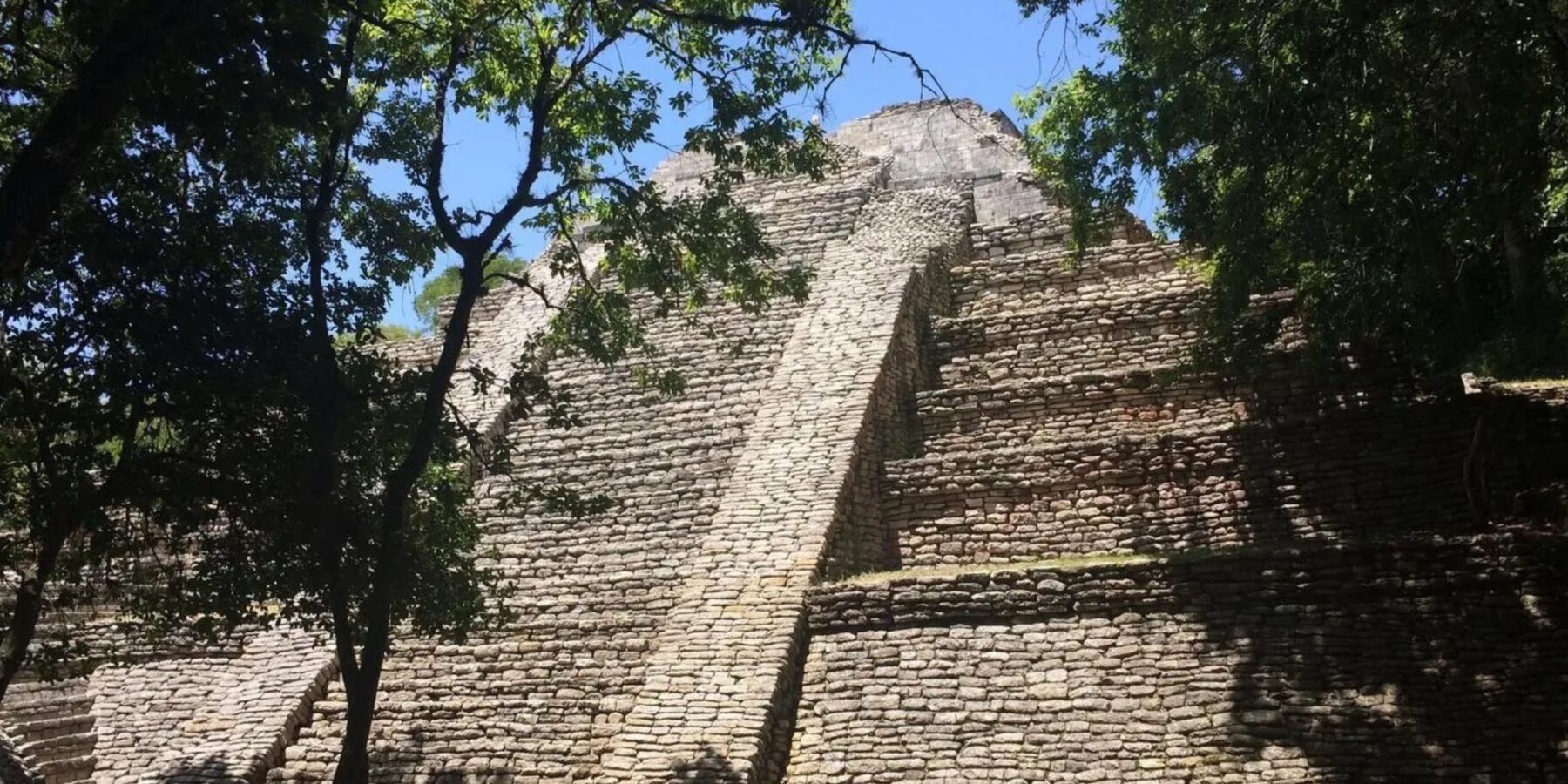 Вчені встановили, що представники цивілізації мая торгували собаками
