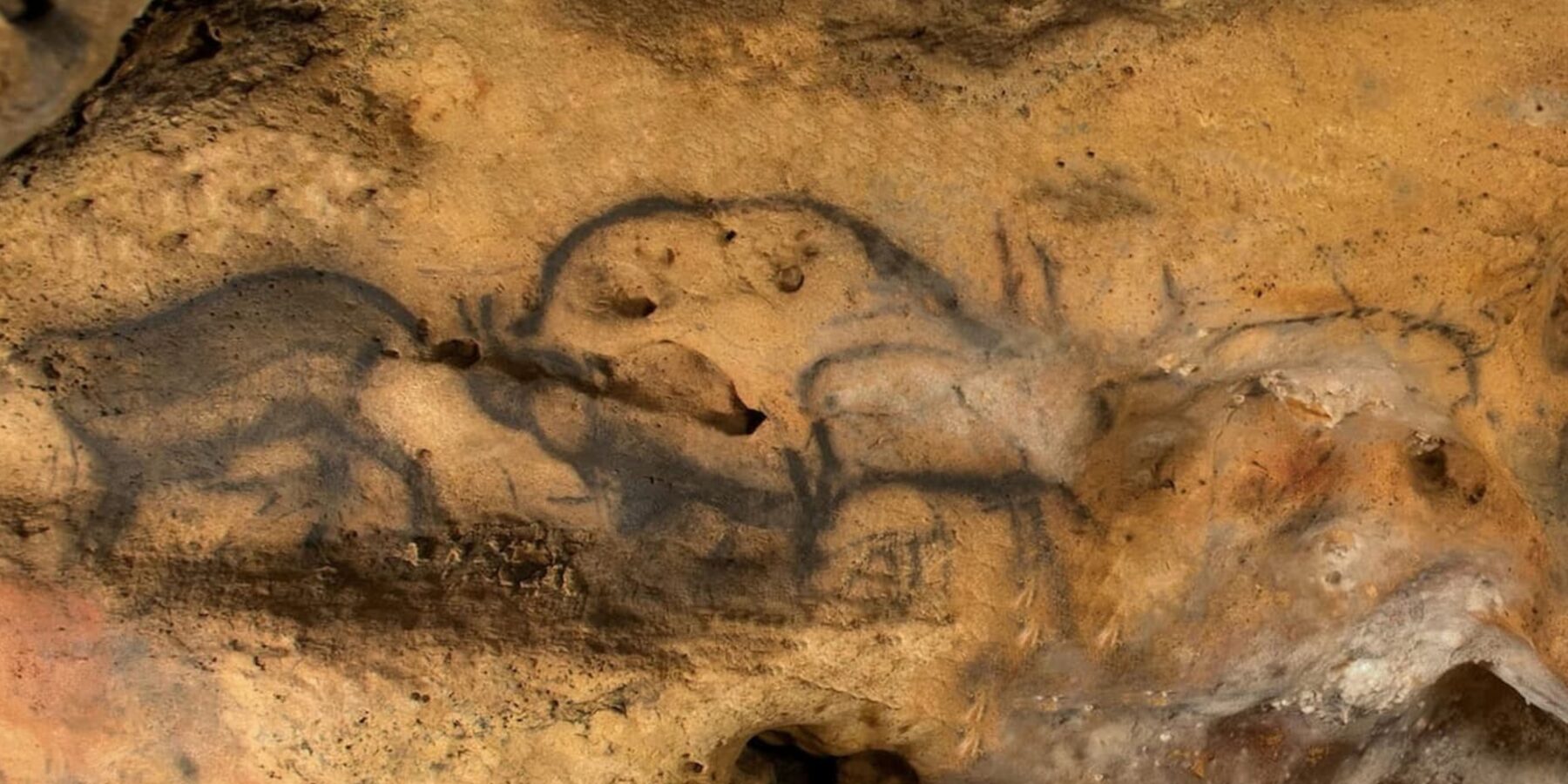 Науковий прорив: печерні малюнки Фон-де-Гом отримали точні дати