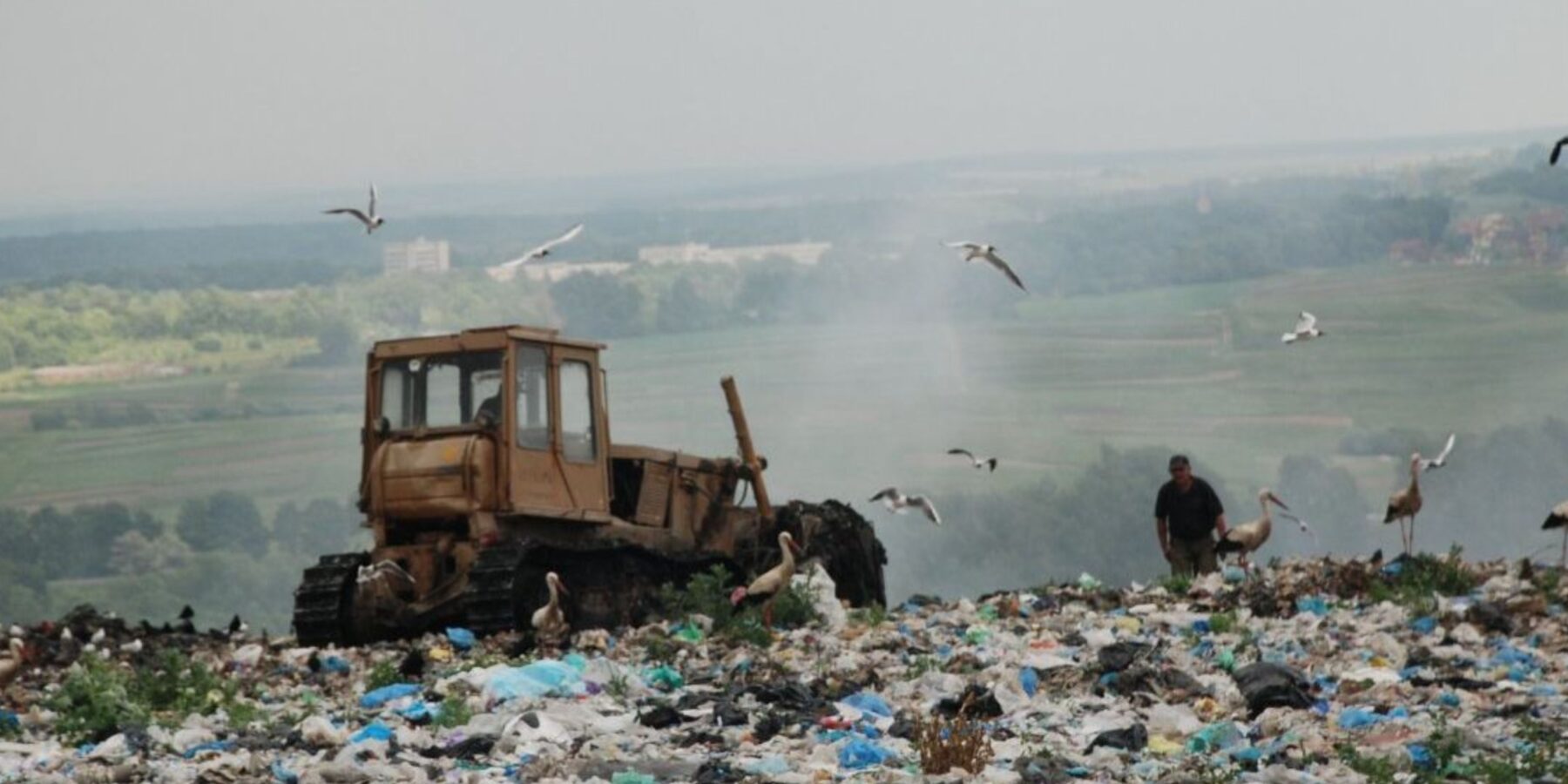 Міжнародний день нульових відходів 2026: фокус на харчові втрати