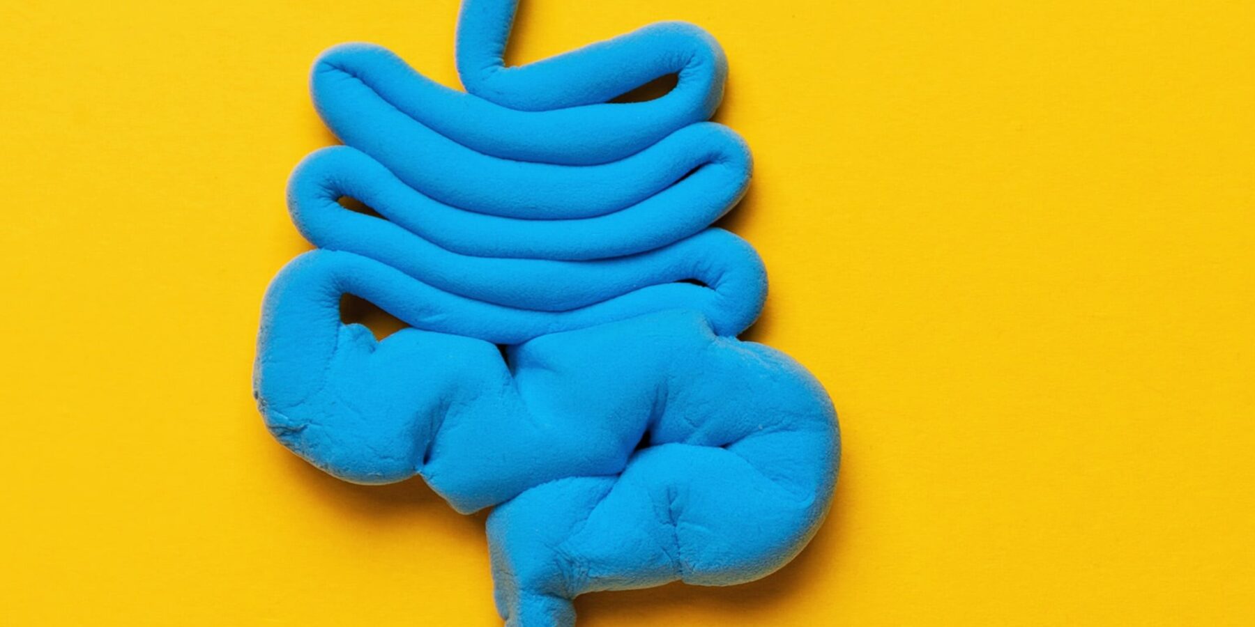 Вчені дослідили, як харчування впливає на мозок