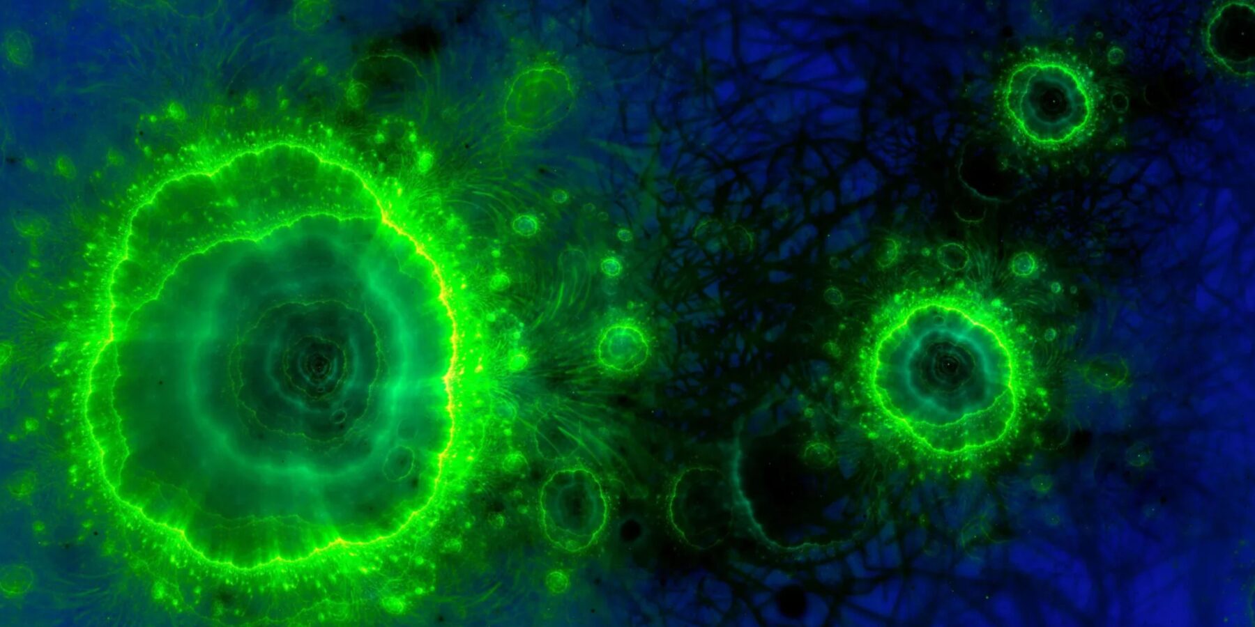 У Марокко дослідили стародавнє морське дно