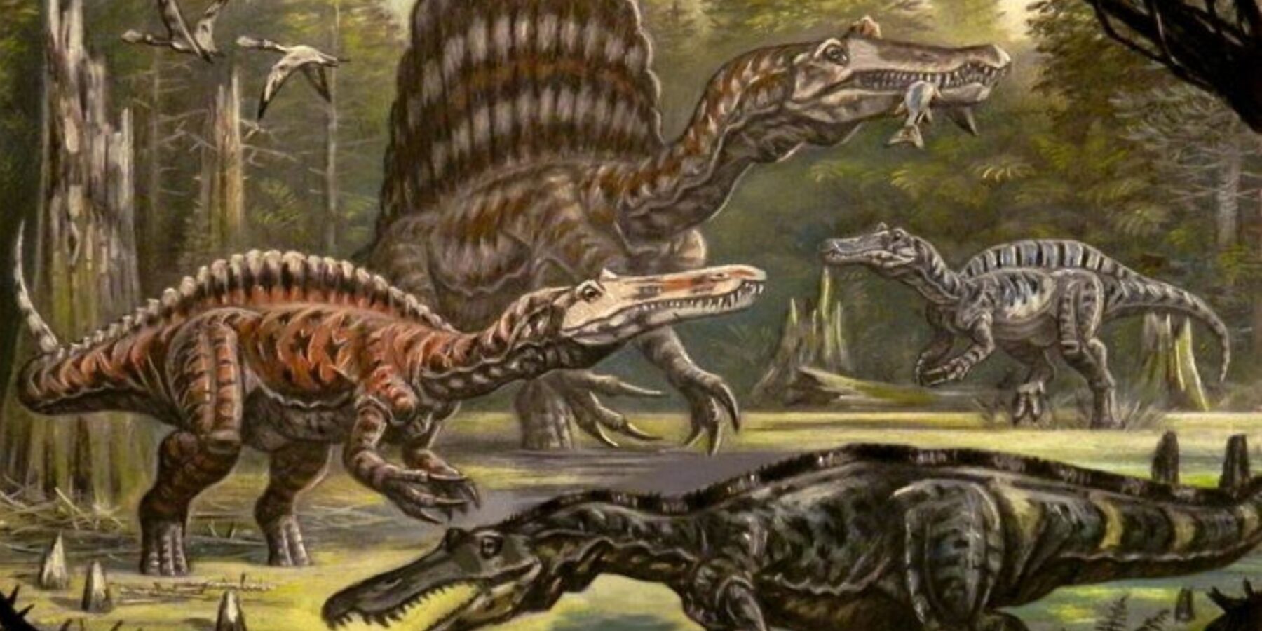 Новий погляд науковців на «пекельну чаплю»