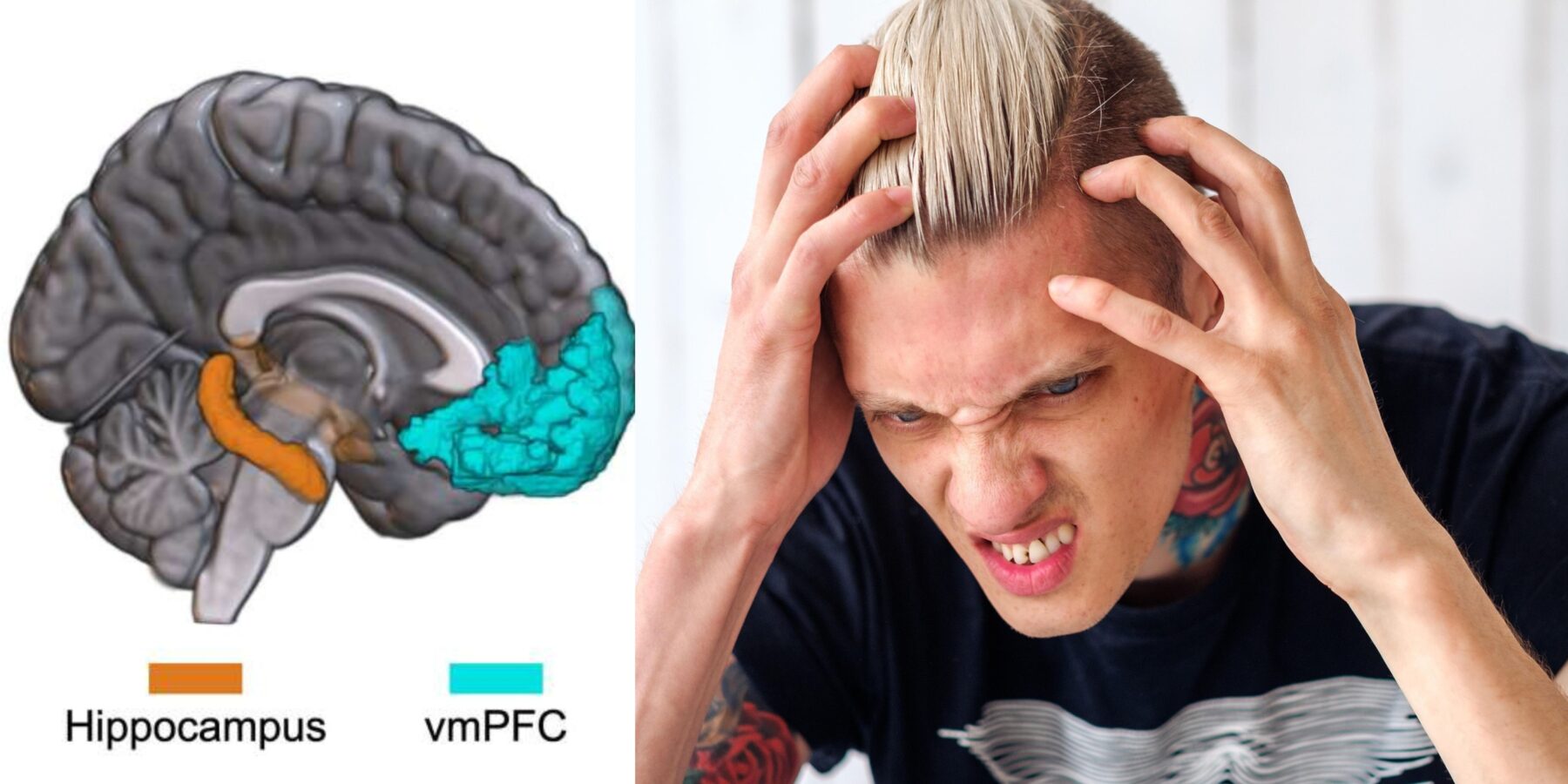 Вчені створили карту людських емоцій