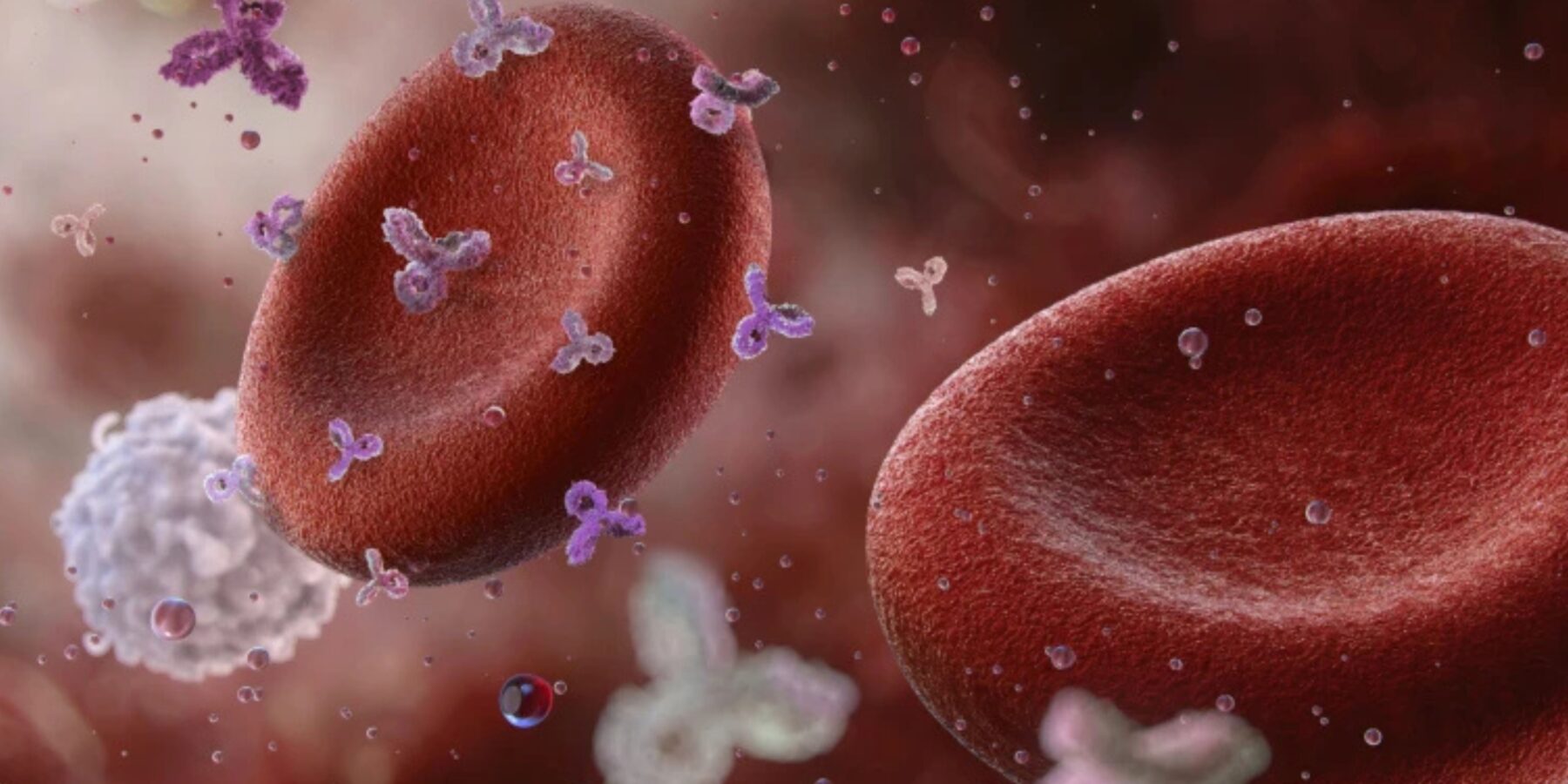 CAR-T терапія відкриває нову еру у лікуванні автоімунних хвороб