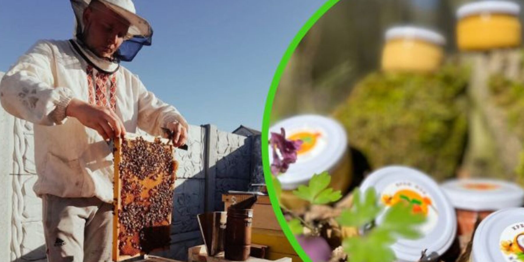 Вибухове відродження українського бджільництва: священник із Київщини збільшив власну пасіку у 45 разів