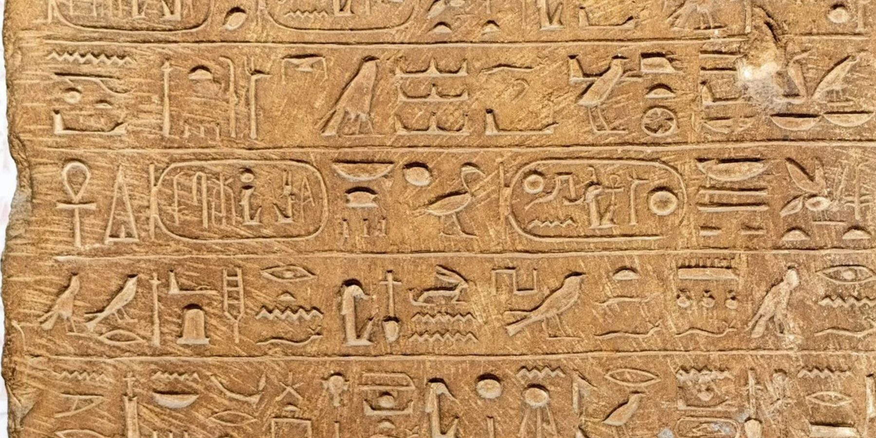 Давні птахи та народження письма: нове відкриття єгиптологів