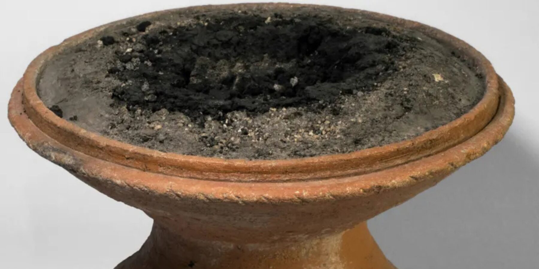 Помпеї дивують: вчені відкрили, що римляни приносили у жертву імпортні смоли