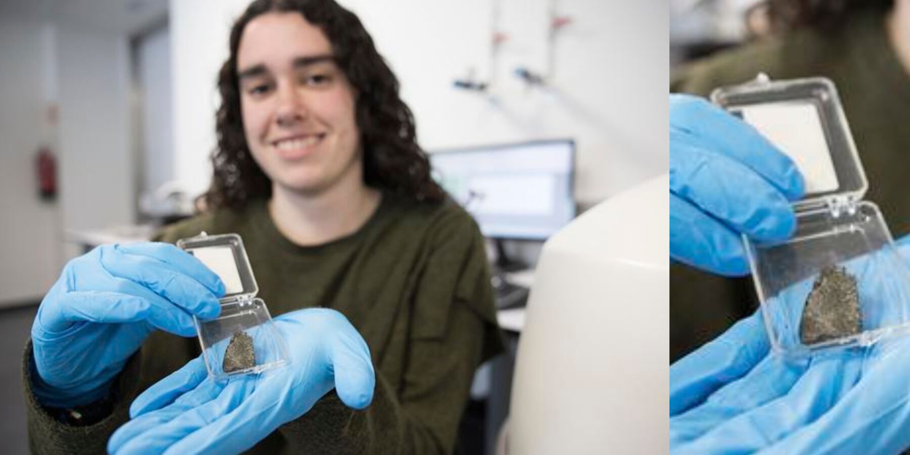 Вчені знайшли перше скам’яніле яйце предка ссавців у Південній Африці