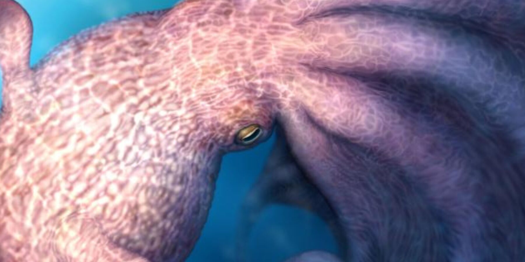 Гігантські восьминоги населяли океани 100 мільонів років тому: нове відкриття науковців