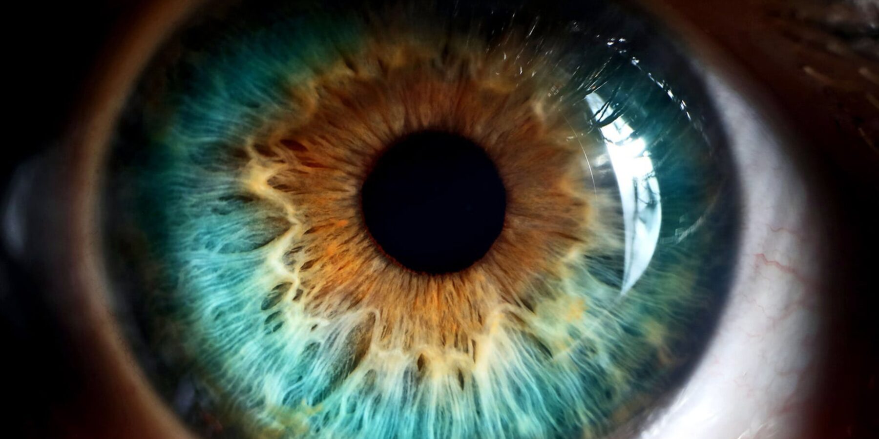 Вчені розкрили секрет нічного зору людини