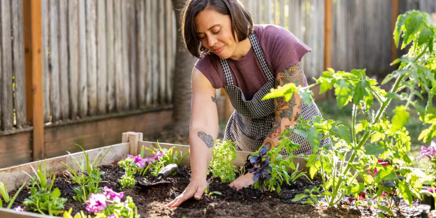 Медики рекомендують: садівництво як шлях до здоров’я та гармонії
