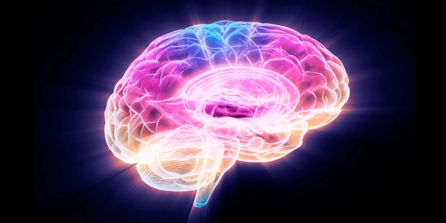 Вчені знайшли білок, що прискорює старіння мозку