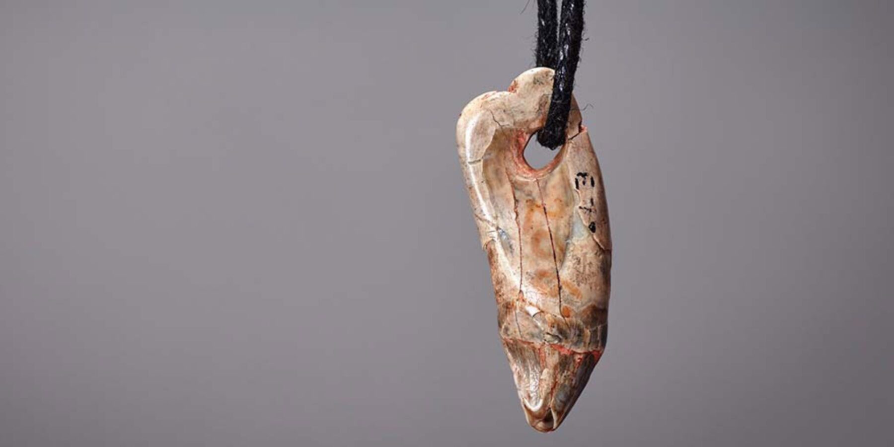 Унікальна знахідка у Кентській печері: підвіска з зуба тюленя відкриває таємниці давніх людей