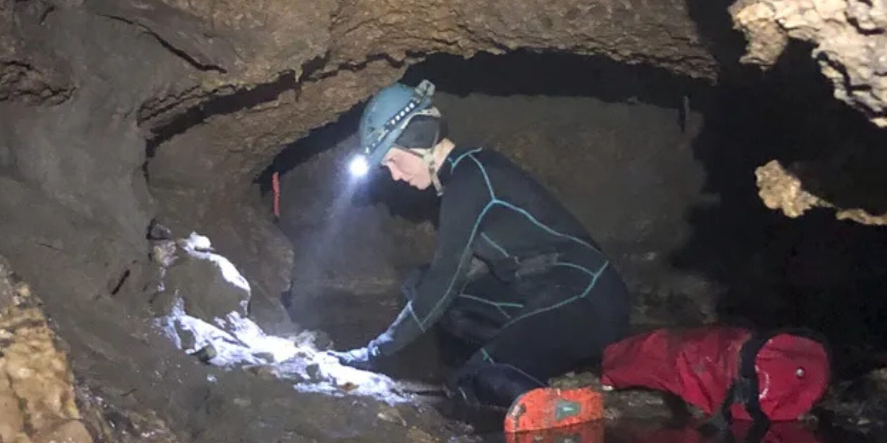 В Техасі знайшли сліди зниклої екосистеми Льодовикового періоду