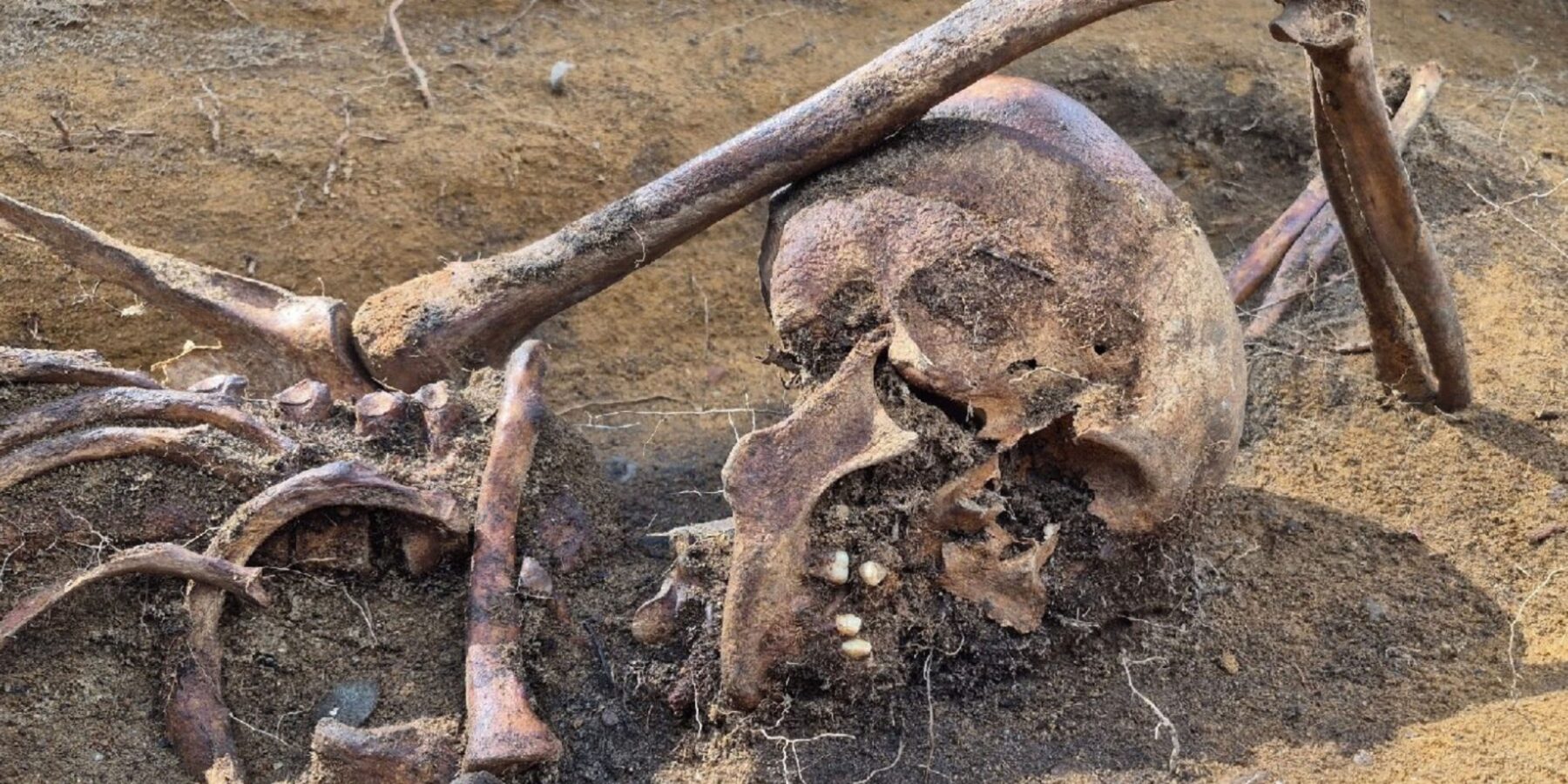 Археологи розкрили таємницю Другої світової біля села Жданів