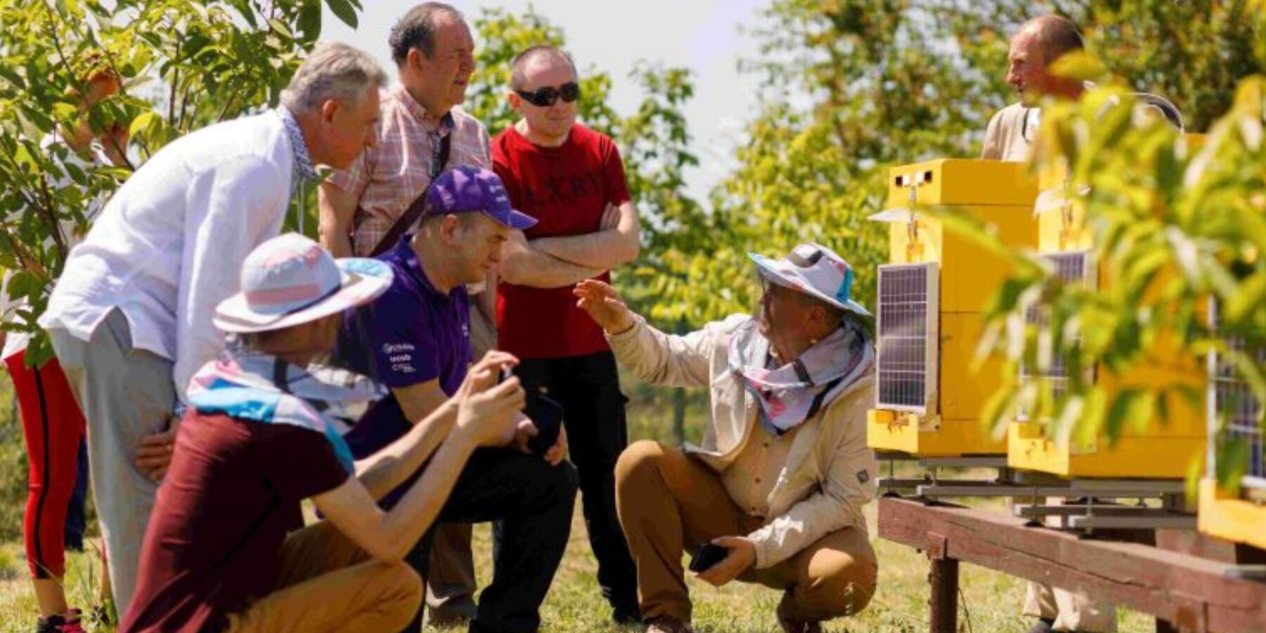 Розумна IT-пасіка: українські технології рятують бджіл та навчають дітей