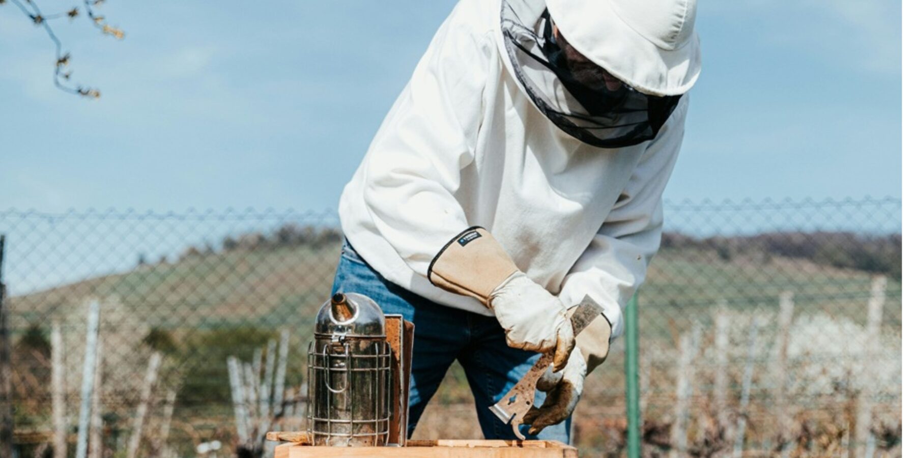 Життя триває: бджолярі Сумщини об’єднують громади дегустаціями меду