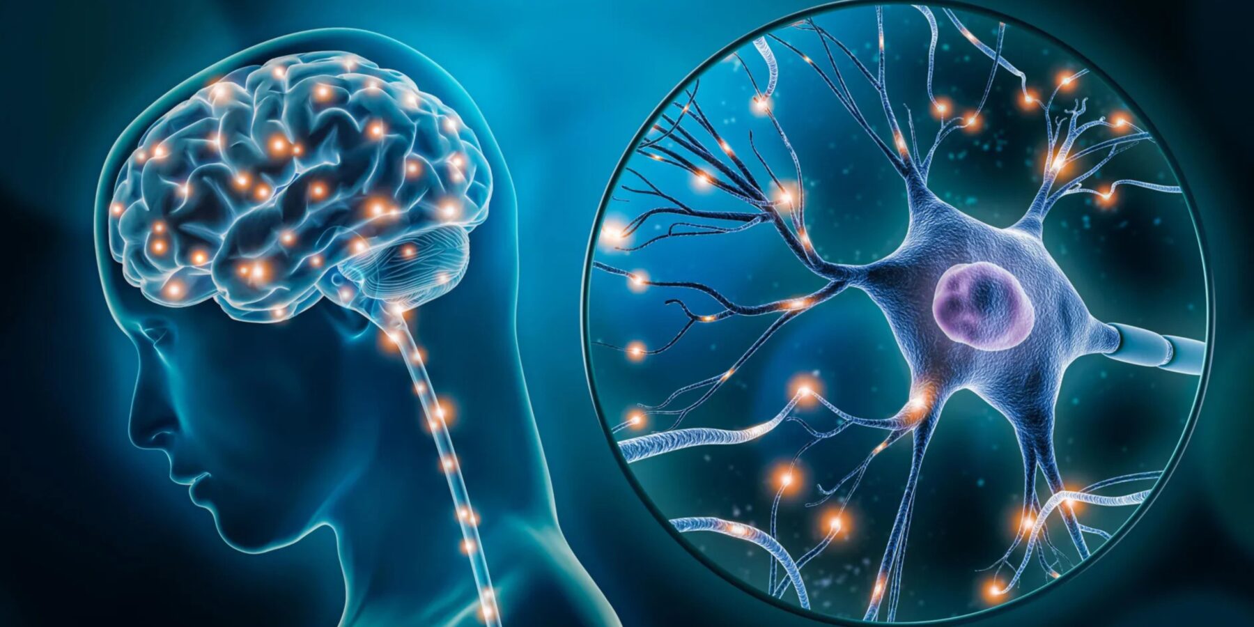 Вчені знайшли причини депресії в клітинах мозку