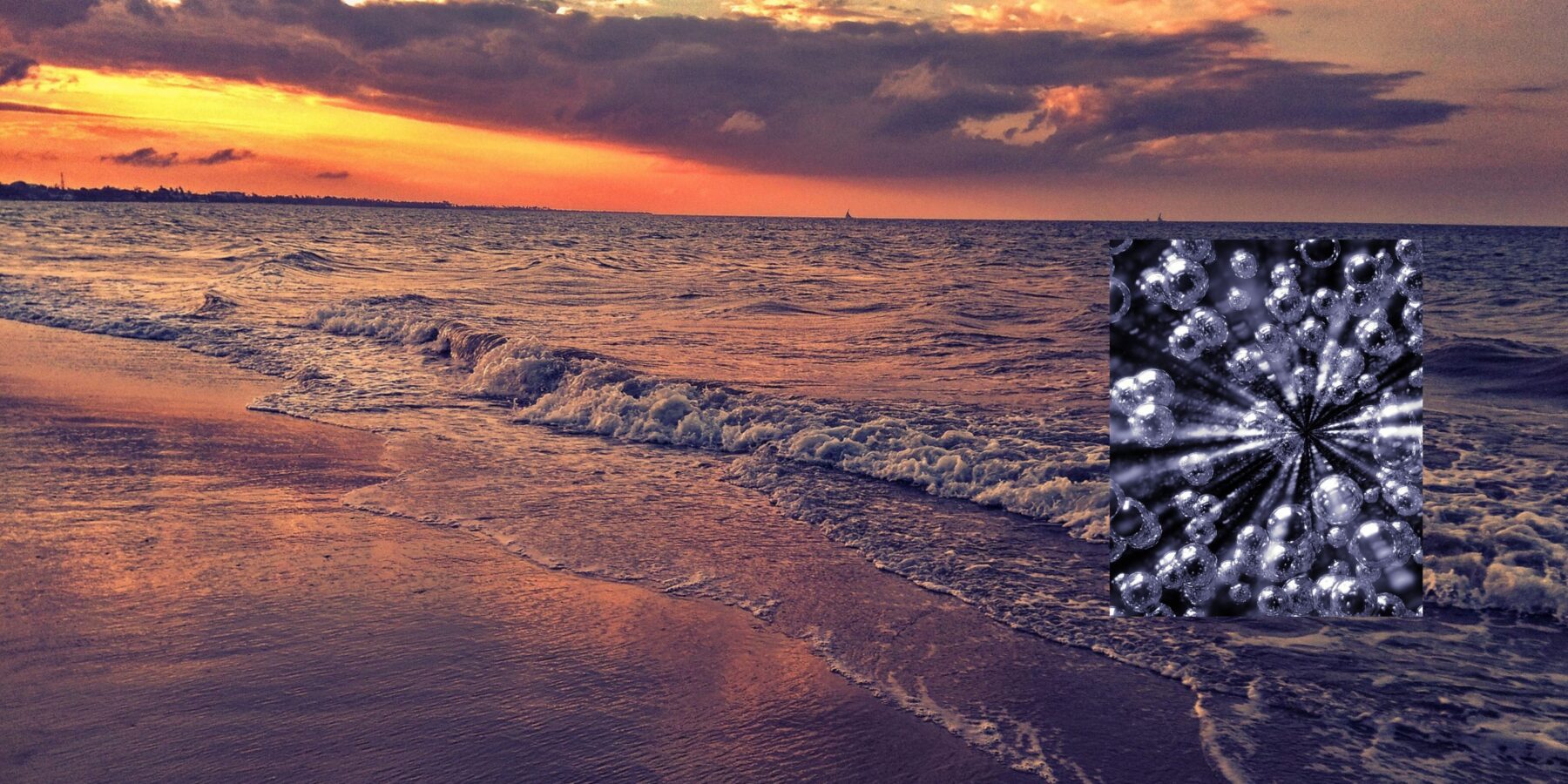 Птахи стали живими індикаторами забруднення океанів ртуттю