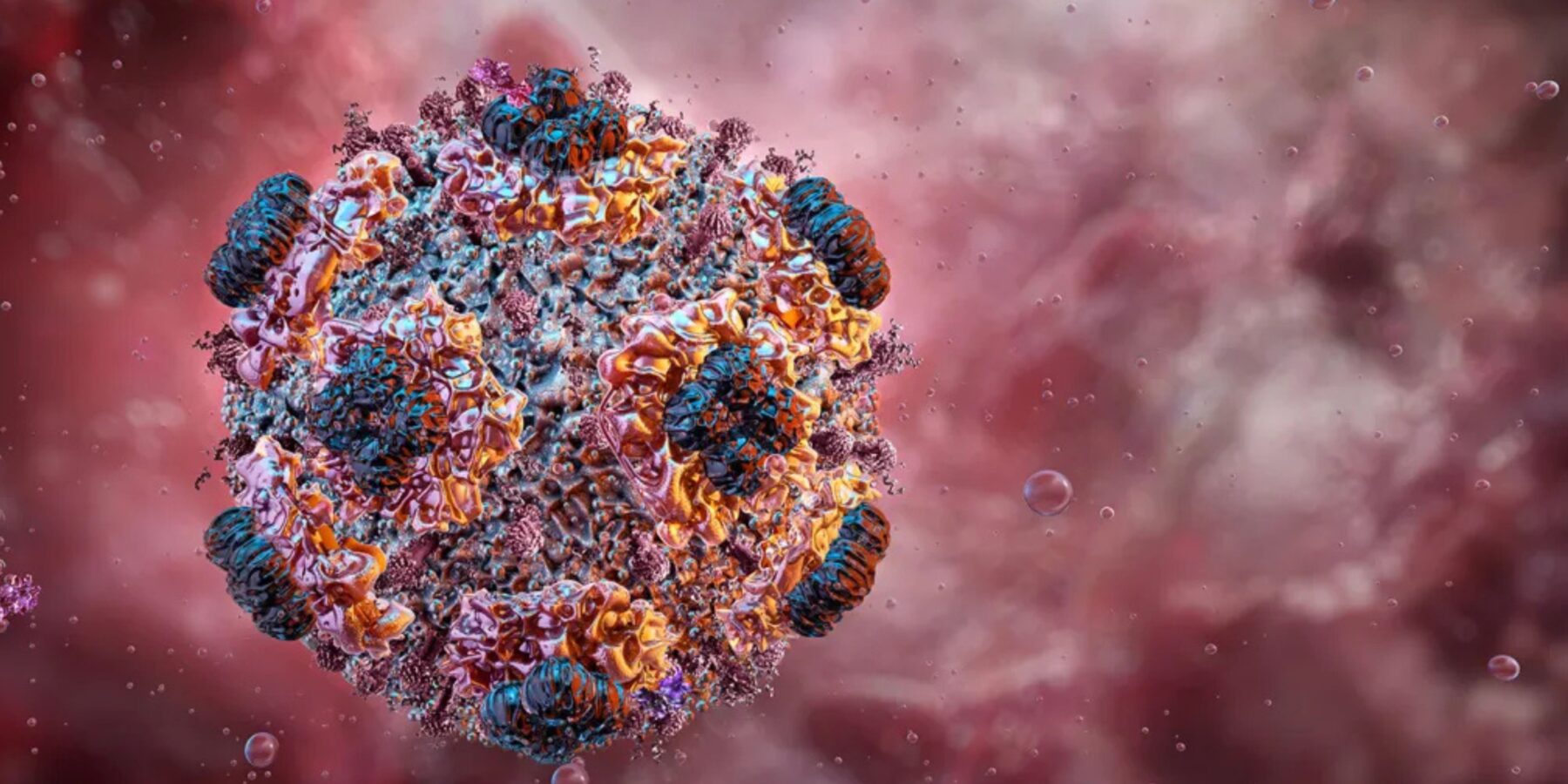 Andes hantavirus: медики проводять дослідження