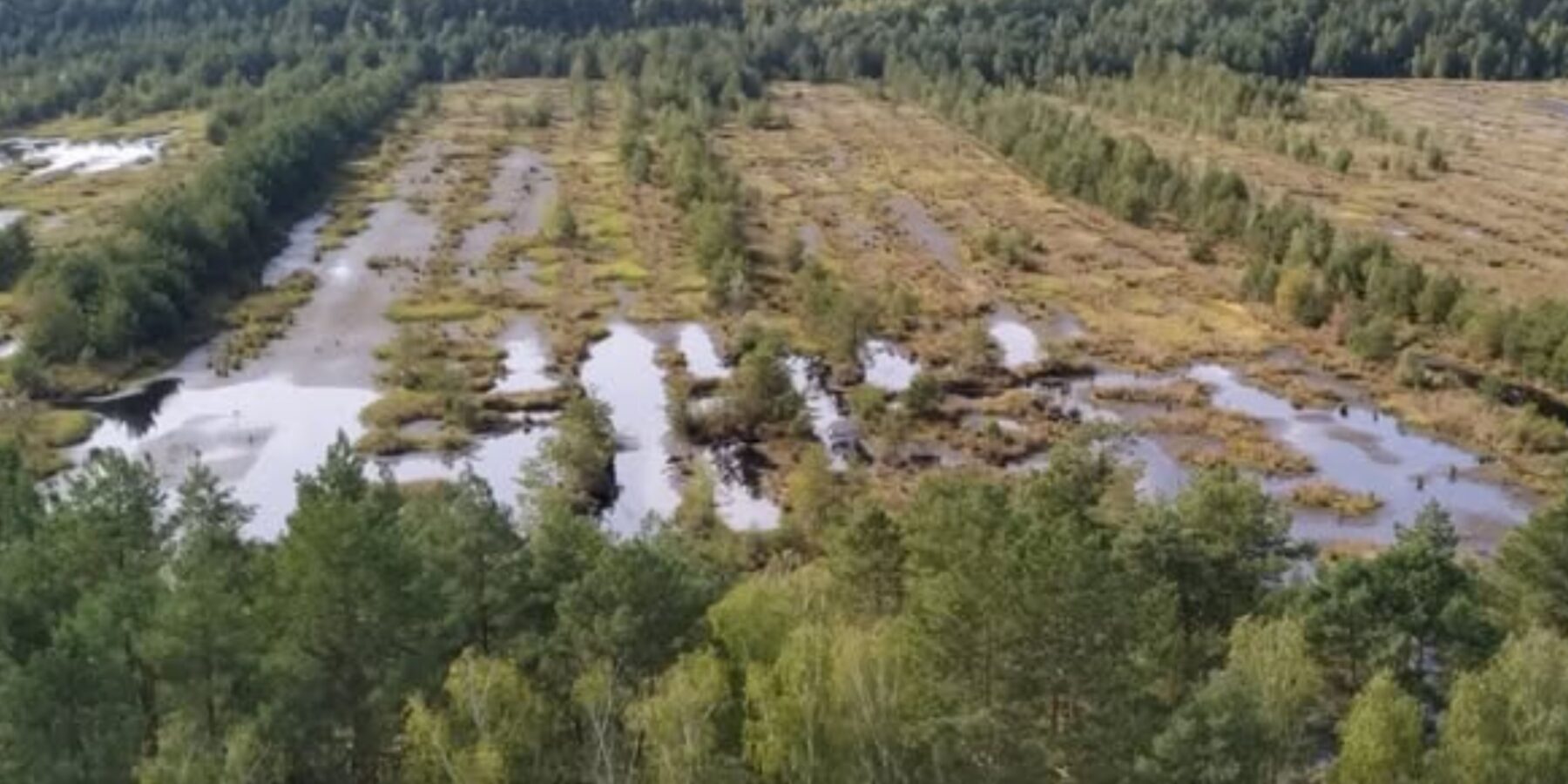 Кабмін ухвалив нові правила використання торфовищ: екологічний прорив для України