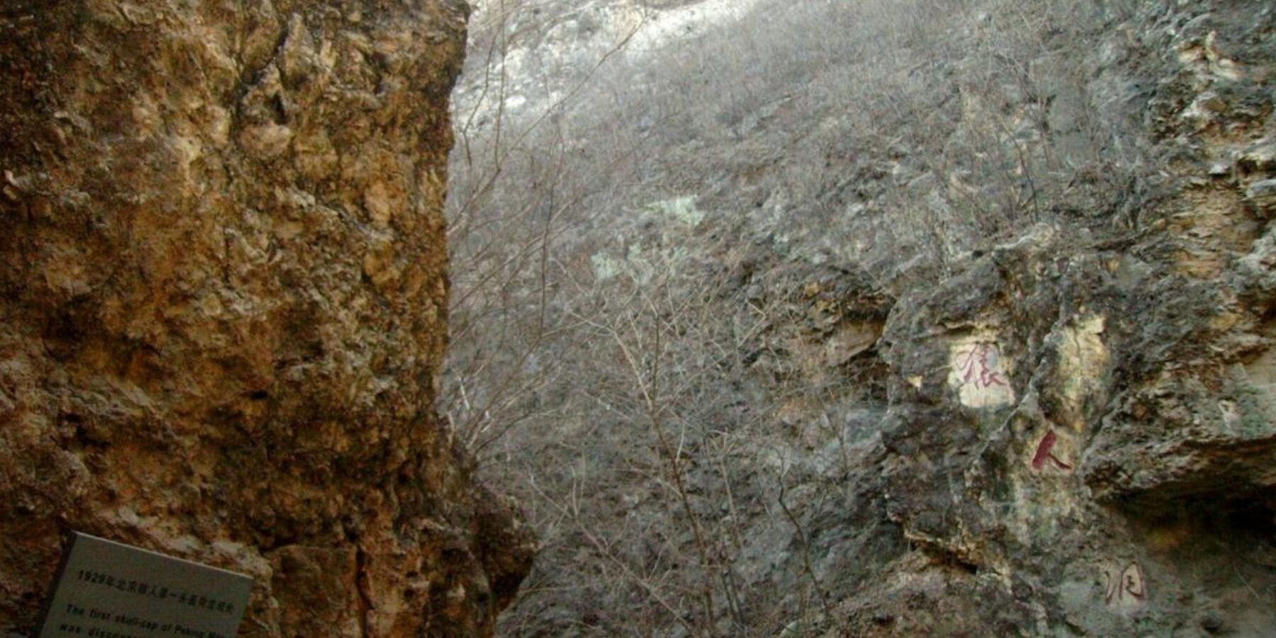 Вчені розкрили таємницю зубів Homo erectus у Китаї