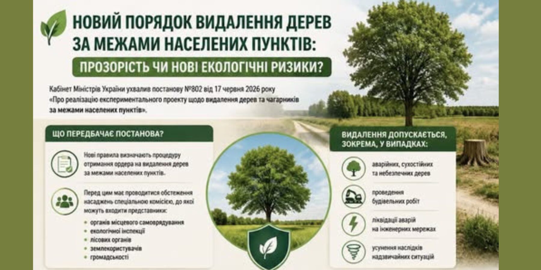 Новий порядок видалення дерев в Україні: баланс чи загроза природі?